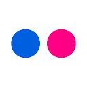 Flickr favicon