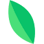 kvitly