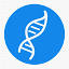 mRNA