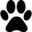 ShortGen Video