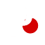 Palmier Pro