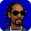 SnoopSolve